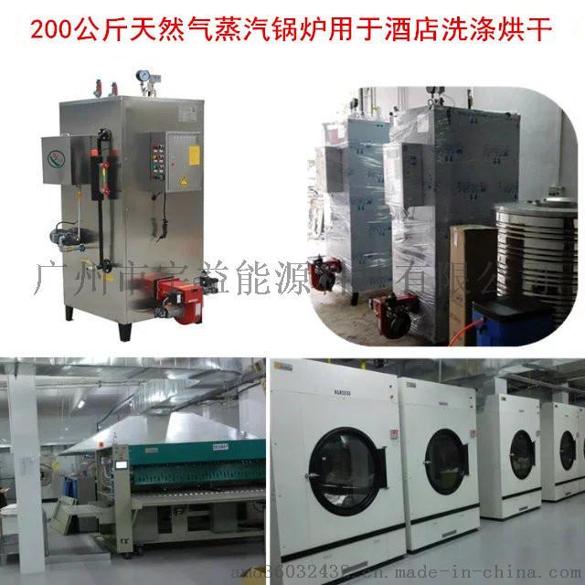 石鍋魚配套用全自動燃?xì)庹羝仩t737200432