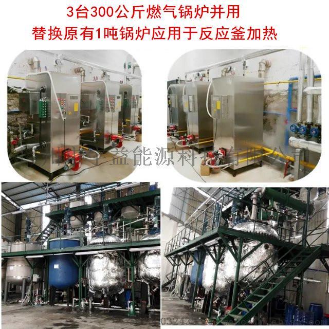 石鍋魚配套用全自動燃?xì)庹羝仩t737200402